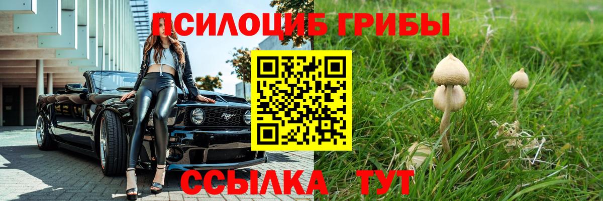Галлюциногенные грибы мицелий Кизляр
