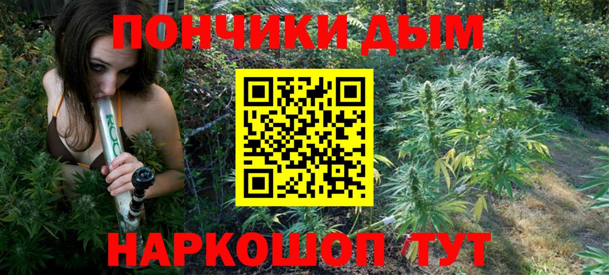 Каннабис сатива  Вход с VPN  Канабис AK-47  Кизляр  Марихуана марихуана  Канабис OG Kush 